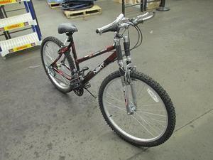 Next all best sale terrain shock bike