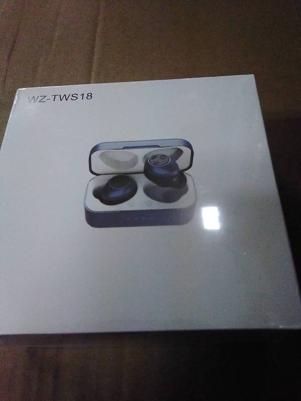 WZ TWS18 Bluetooth 5.0 Earphones In Ear Wireless Headphones Stereo