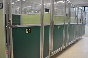 mason dog kennels
