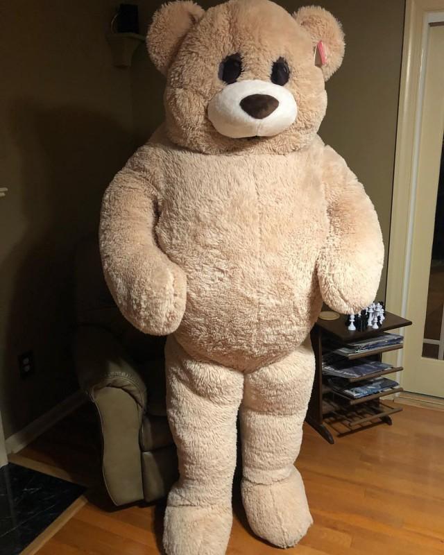 way to celebrate giant teddy bear costume